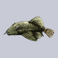 Bristlenose Placo Heavyweight Hoodie | Teevron