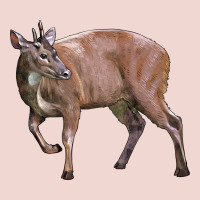 Red Brocket Buck Deer Premium Sweatshirt | Teevron