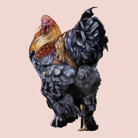 Brahma Rooster Premium Sweatshirt | Teevron
