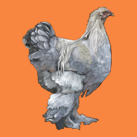Brahma Chicken Premium Sweatshirt | Teevron