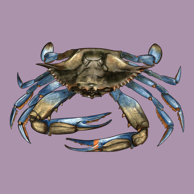 Crab Heavyweight Hoodie by LillyAllenDesigns | Teevron