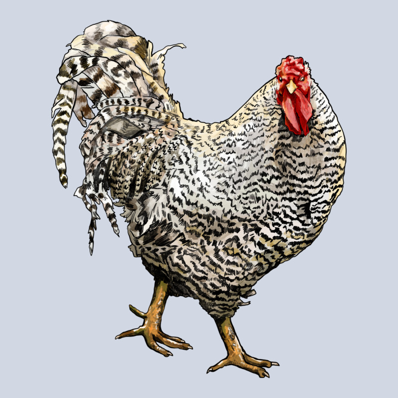 Dominique Rooster Premium Sweatshirt by LillyAllenDesigns | Teevron