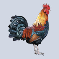 New Hampshire Red Rooster Premium Sweatshirt | Teevron