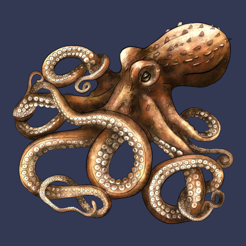 Octopus Heavyweight Hoodie by LillyAllenDesigns | Teevron