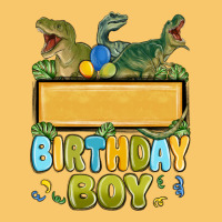 Customized Dinosaur Birthday Boy Vintage Hoodie | Teevron