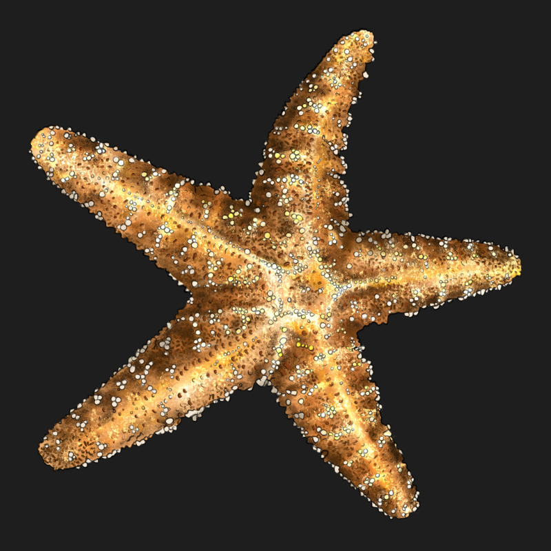 Starfish Heavyweight Hoodie by LillyAllenDesigns | Teevron