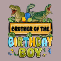 Brother Of The Birthday Boy Vintage Hoodie | Teevron