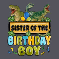 Sister Of The Birthday Boy Vintage Hoodie | Teevron