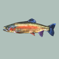 Rainbow Trout Heavyweight Hoodie | Teevron