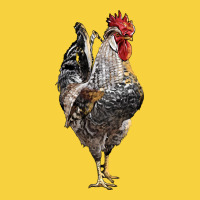 Cream Legbar Rooster Premium Sweatshirt | Teevron
