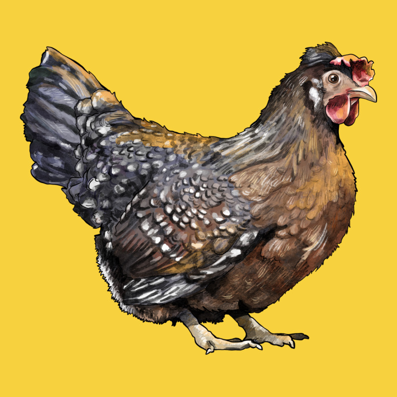 Cream Legbar Chicken Premium Sweatshirt by LillyAllenDesigns | Teevron