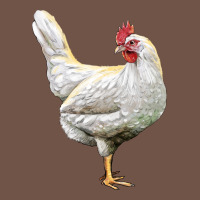 Leghorn Chicken Premium Sweatshirt | Teevron