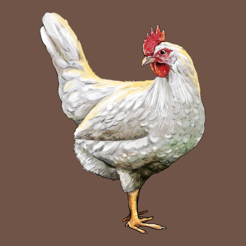 Leghorn Chicken Premium Sweatshirt by LillyAllenDesigns | Teevron