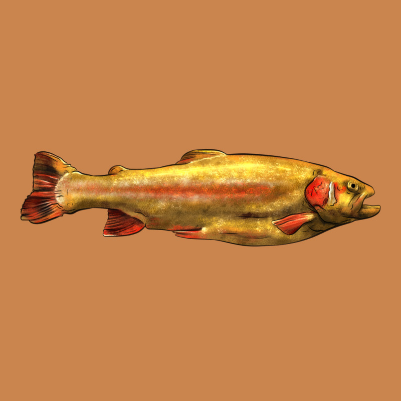 Golden Trout West Virginia Heavyweight Hoodie by LillyAllenDesigns | Teevron