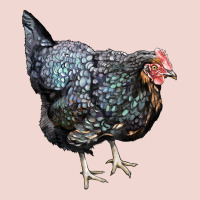 Jersey Giant Chicken Premium Sweatshirt | Teevron