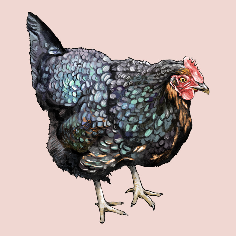 Jersey Giant Chicken Premium Sweatshirt by LillyAllenDesigns | Teevron