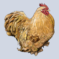 Cochin Rooster Premium Sweatshirt | Teevron