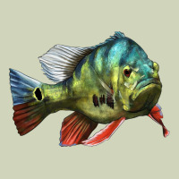 Peacock Bass Illustrations Heavyweight Hoodie | Teevron
