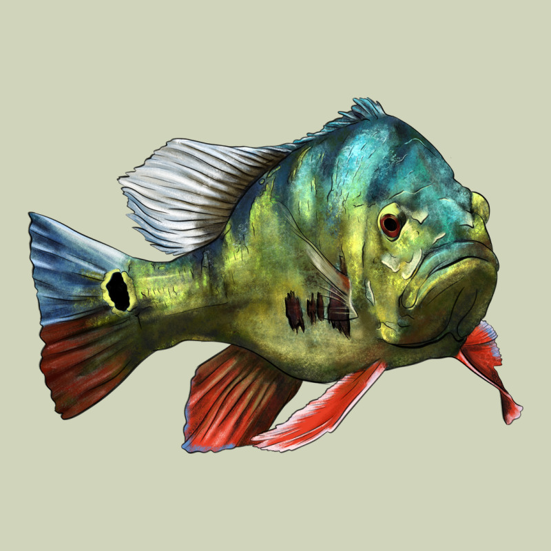 Peacock Bass Illustrations Heavyweight Hoodie by LillyAllenDesigns | Teevron
