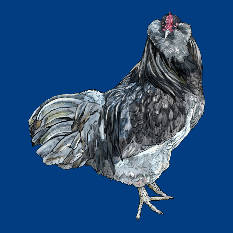 Ameraucana Rooster Premium Sweatshirt by LillyAllenDesigns | Teevron