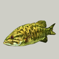 Smallmouth Bass Fish Illustrations Heavyweight Hoodie | Teevron