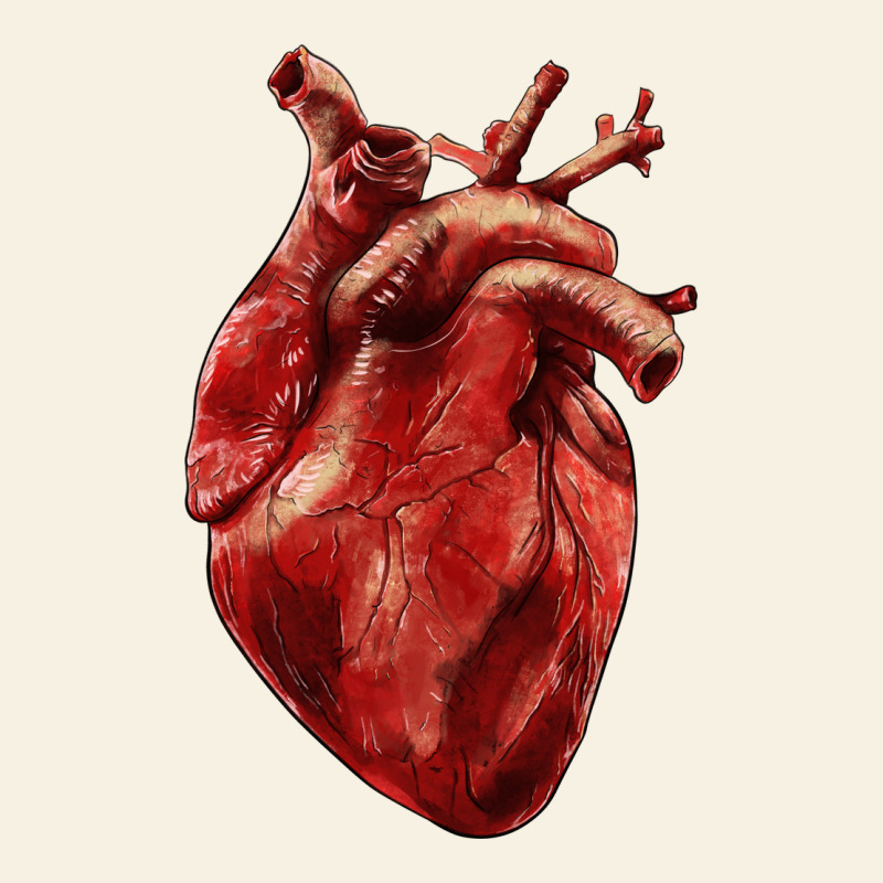 Anatomical Heart Vintage Tee by RanaPortraitStore | Teevron