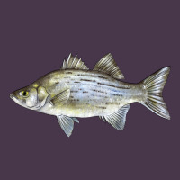 White Bass Fish Illustrations Heavyweight Hoodie | Teevron