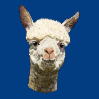 Alpaca Head Premium Sweatshirt | Teevron