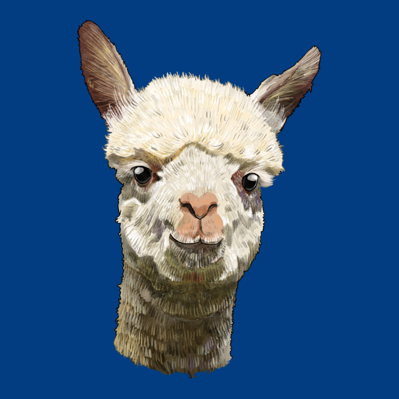 Alpaca Head Premium Sweatshirt by LillyAllenDesigns | Teevron