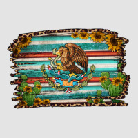 Cactus Turquoise Serape Leopard Mexican Flag Premium Sweatshirt | Teevron