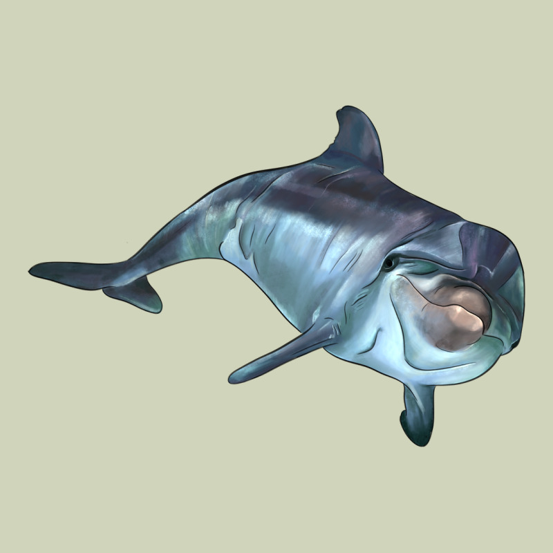 Bottlenose Dolphin Heavyweight Hoodie by LillyAllenDesigns | Teevron