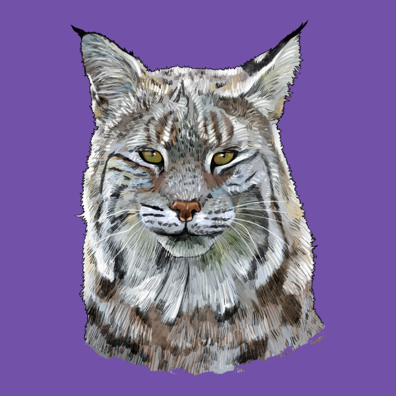 Bobcat Head Premium Sweatshirt by LillyAllenDesigns | Teevron