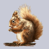 Squirrels Heavyweight Hoodie | Teevron
