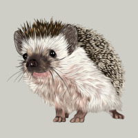 Hedgehog Illustrations Heavyweight Hoodie | Teevron