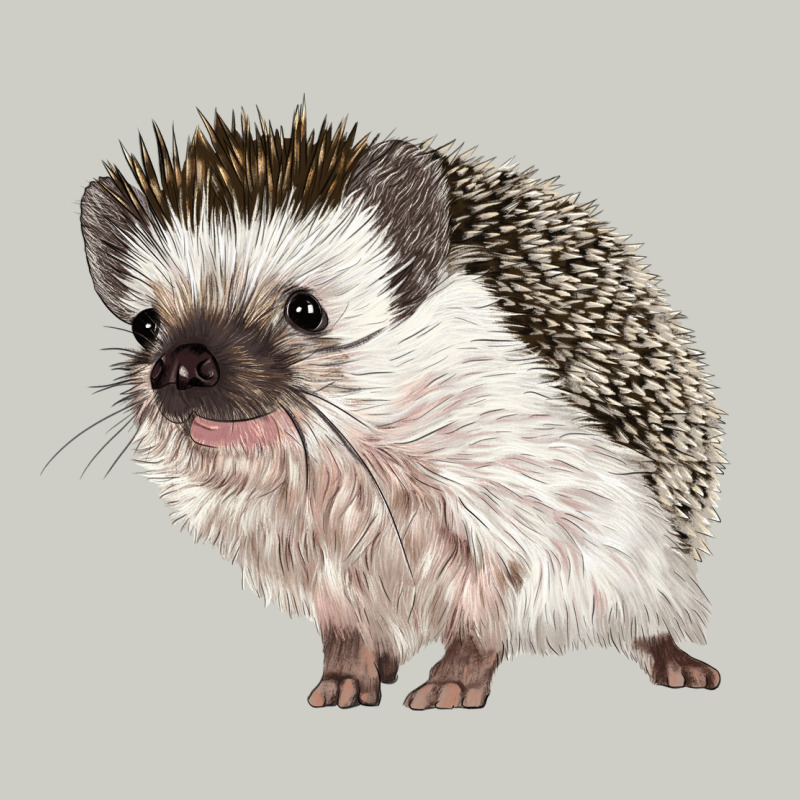 Hedgehog Illustrations Heavyweight Hoodie by LillyAllenDesigns | Teevron