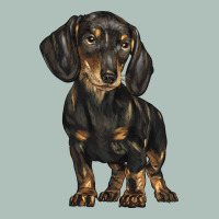 Dachshund Heavyweight Hoodie | Teevron