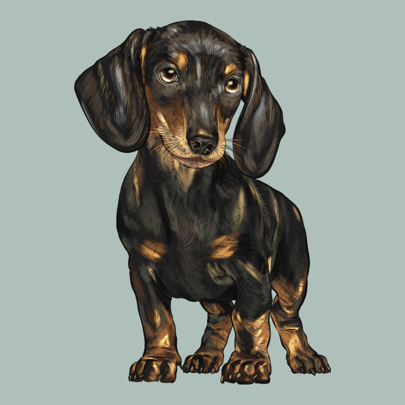 Dachshund Heavyweight Hoodie by BarkalooDesign | Teevron