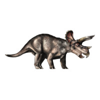 Triceratops Horridus | Teevron