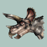 Triceratops Horridus Face Premium Sweatshirt | Teevron