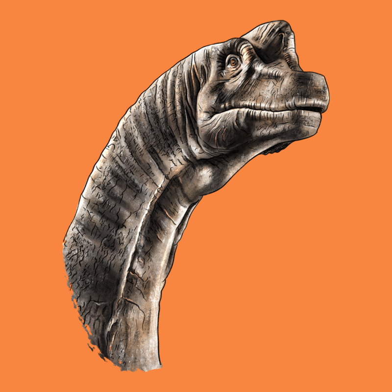Brachiosaurus Face Premium Sweatshirt by LillyAllenDesigns | Teevron