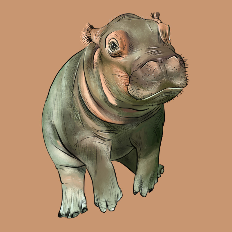Baby Hippo Heavyweight Hoodie by LillyAllenDesigns | Teevron