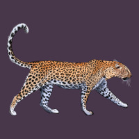 Leopard Heavyweight Hoodie | Teevron