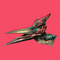 Pteranodon Face Premium Sweatshirt | Teevron