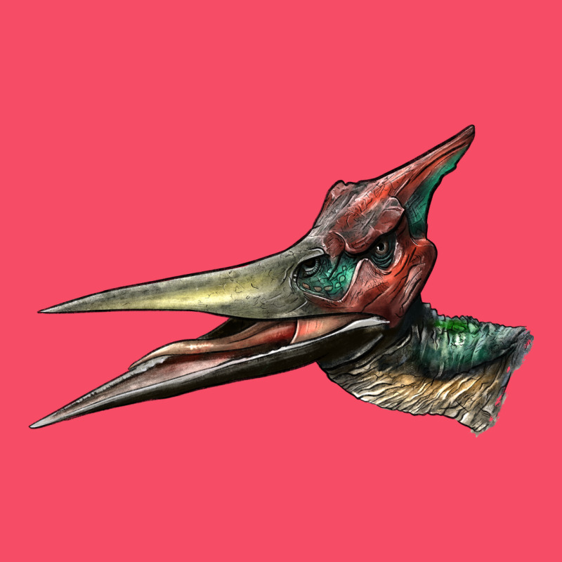 Pteranodon Face Premium Sweatshirt by LillyAllenDesigns | Teevron