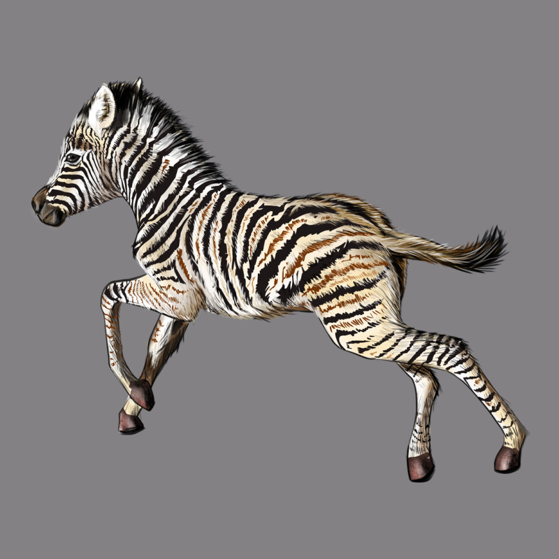 Baby Zebra Heavyweight Hoodie by LillyAllenDesigns | Teevron