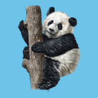 Giant Panda Premium Sweatshirt | Teevron
