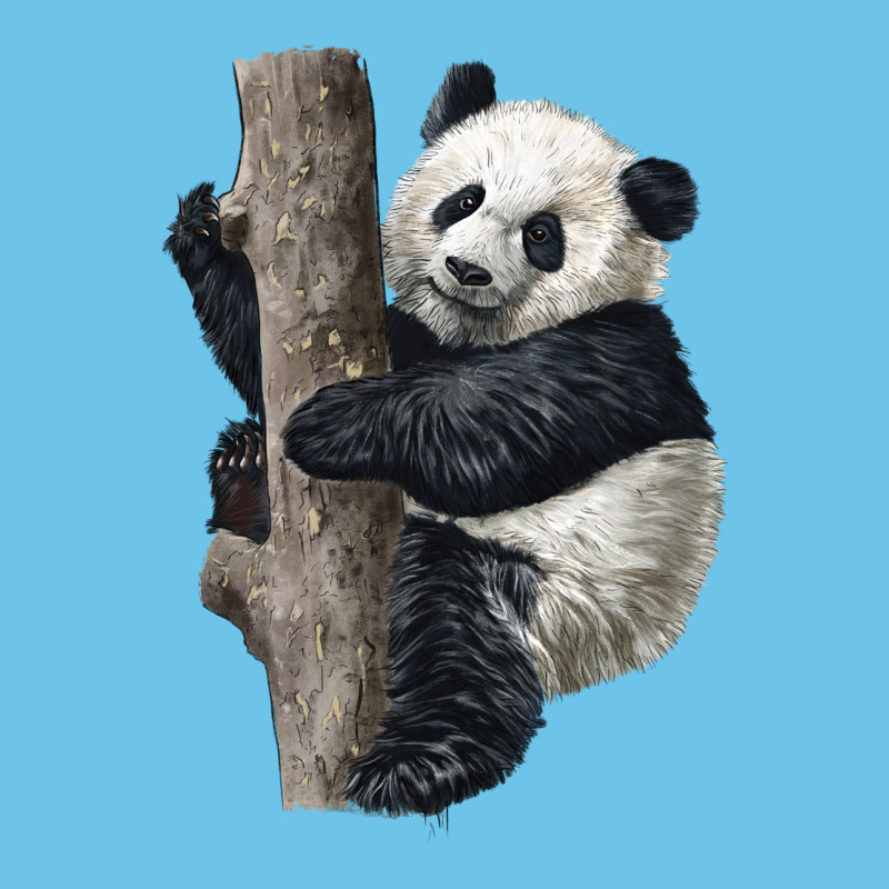 Giant Panda Premium Sweatshirt by LillyAllenDesigns | Teevron