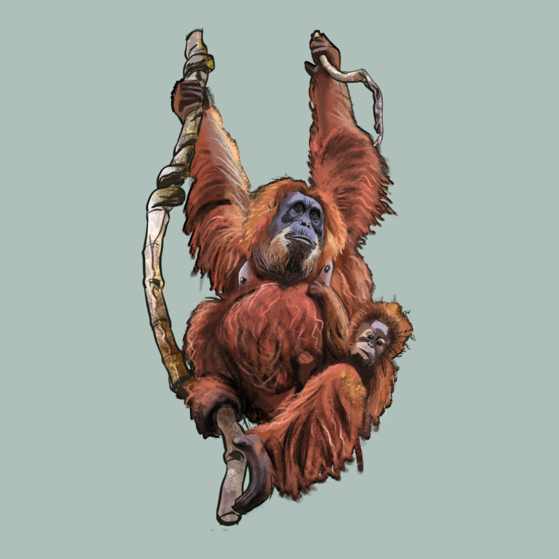 Orangutan And Baby Heavyweight Hoodie by LillyAllenDesigns | Teevron