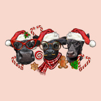 Christmas Black Angus Cows Urban Hoodie | Teevron