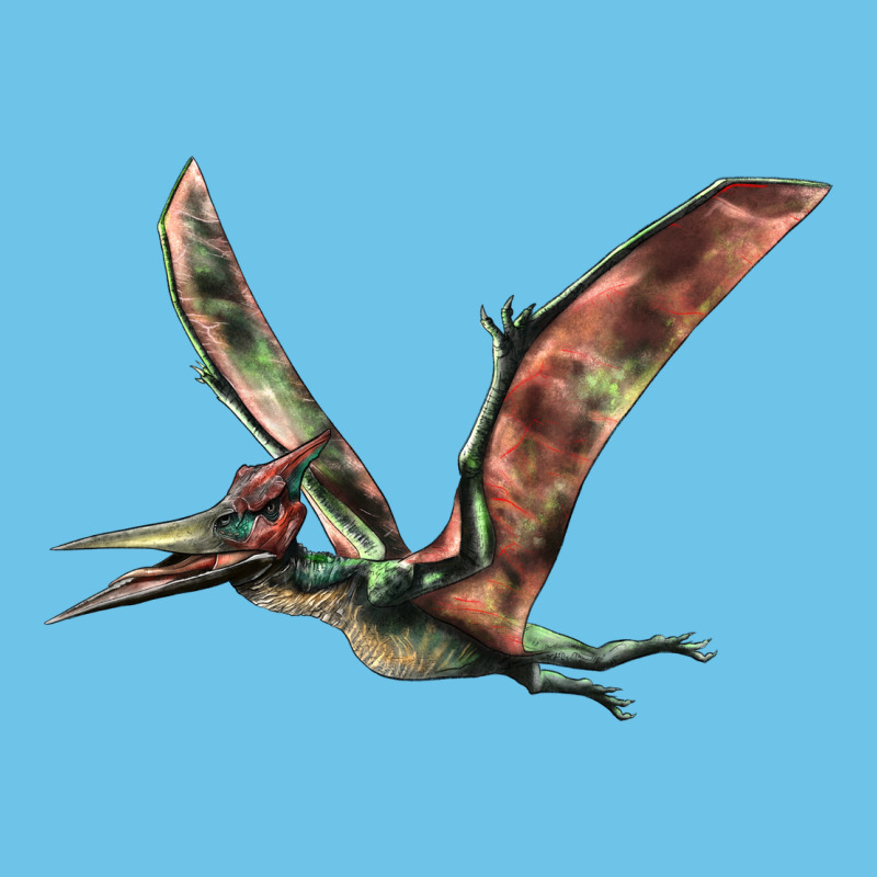 Pteranodon Premium Sweatshirt by LillyAllenDesigns | Teevron